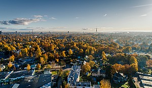 La nature dans les villes
