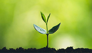 Carbon reduction targets: from ambition to impact