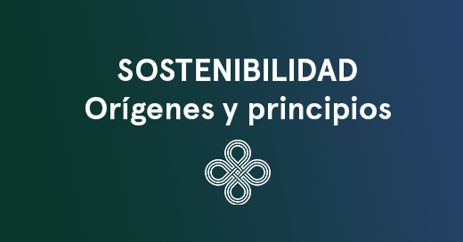 Sostenibilidad Orígenes y principios